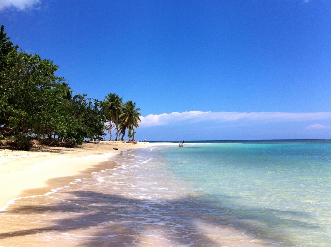 Caribbean Seaview Apart Malecon ซานโตโดมิงโก ภายนอก รูปภาพ